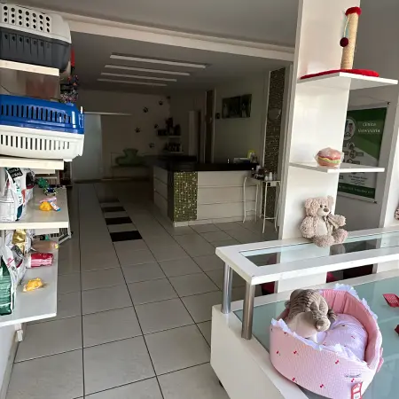Recepção da Clínica Veterinária Fauna visto de frente